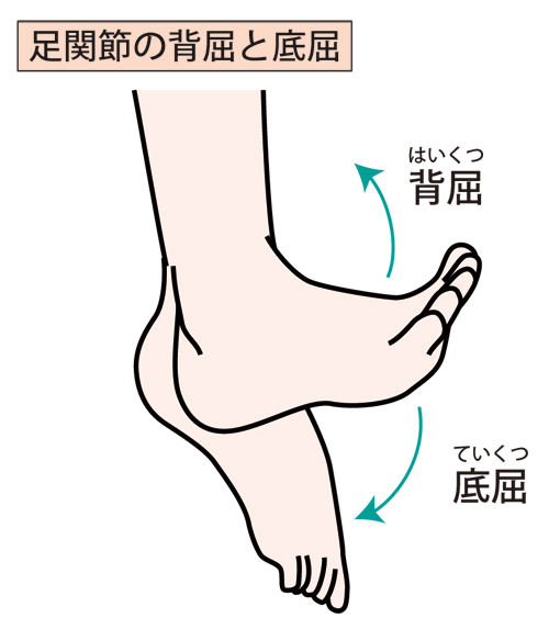 アキレス腱付着部炎 クリアランス 靴が痛い